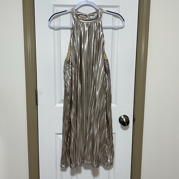 THML Shimmering Champagne/Gold Color Swing Dress - Picture 6 of 9